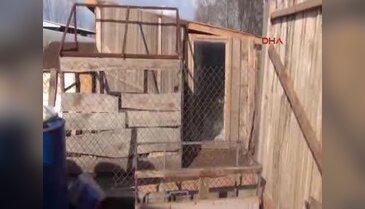 Bursa'da yavru köpeklerini çalanı bulana arabasını hediye edecek