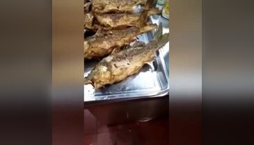 Kızarmış balık tabakta canlandı!