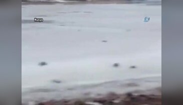 Donmuş göldeki köpeği kurtardı