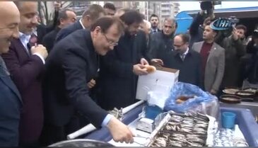 Bursalılar hamsiye doydu