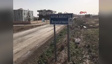 Mahallede kuş gribi paniği! Ekipler tek tek topladı