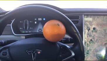 Dünya Tesla'yı portakalla kandıran adamı konuşuyor