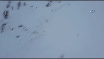 Bitlis'teki çığ bölgesinde ilk görüntüler