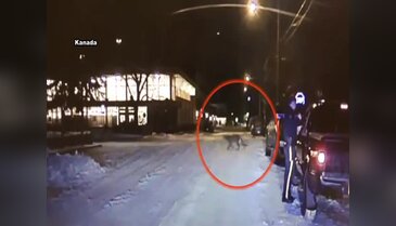 Kameraya yansıyan görüntü ürküttü