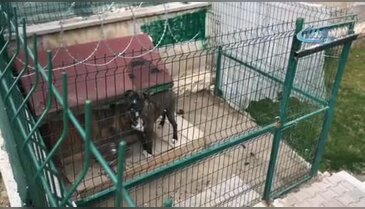 Bursa'da silahlı kavga can aldı! 2 ölü, 1 yaralı