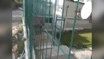 Bursa'da 'Havlama cinayeti' şüphelisi tutuklandı, aile köpekle apartmandan taşındı