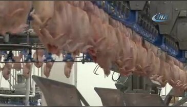 Türkiye'den Japonya'ya 500 ton beyaz et