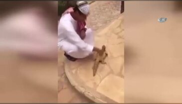 Oyuncak sandı, gerçek çıkınca hopladı