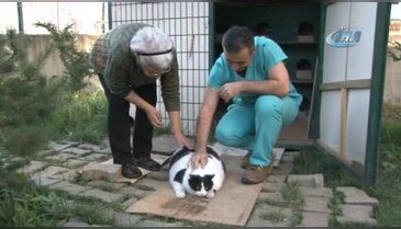 18 kiloluk kedi için seferber oldular