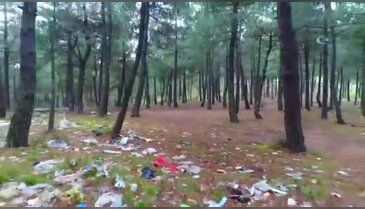 Çevre katliamı havadan görüntülendi!