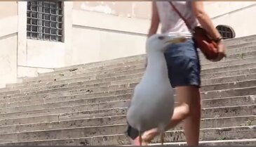 Memur maaşıyla 8 yılda 101 ülke gezdi!