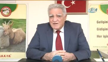 Bursa'da '300 koyun' için başvuruları başladı!