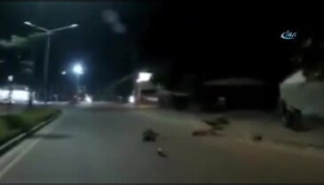 Aşırı süratli motosiklet polise çarptı