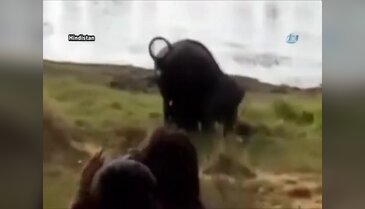 Hindistan'da filin saldırısına uğrayan adam hayatını kaybetti