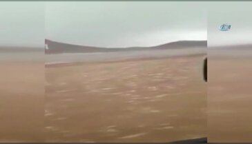Medine'de dolu şoku