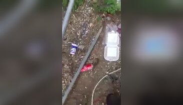 Mersin Tarsus'ta köpeğe tecavüz eden şahıs suçüstü yakalandı