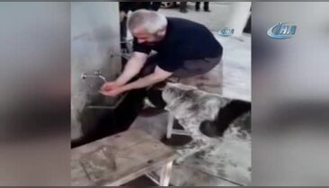 Abdest alırken elleriyle köpeğe su içirdi