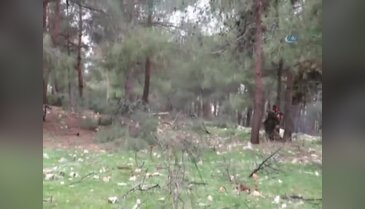 Zeytin Dalı Harekatında teröristler böyle vuruldu!