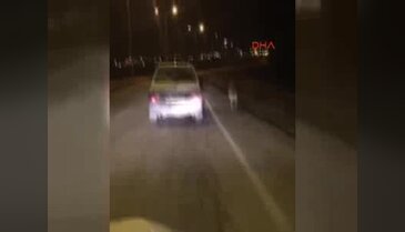 Köpeği, otomobiline bağlayıp koşturdu