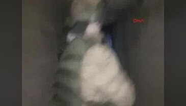 8 askerin şehit düştüğü Keltepe'deki o tünellere girildi! İlk görüntüler