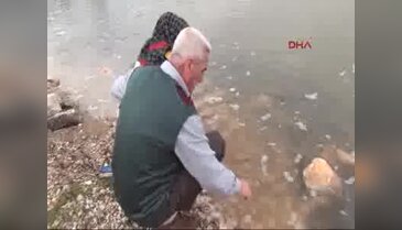 Bursa'da balıklar karaya vurdu