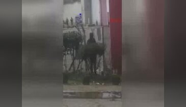 Cezaevine alınmayınca, otomobiliyle girdi!