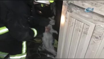 Bursa'da yangında 4 kişi dumandan etkilendi, 3 kedi öldü!