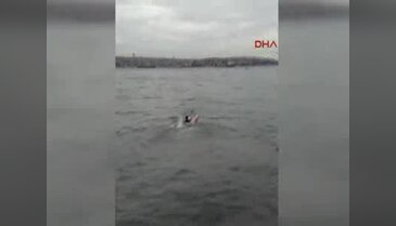 Suriyeliyi Suriyeli kurtardı!