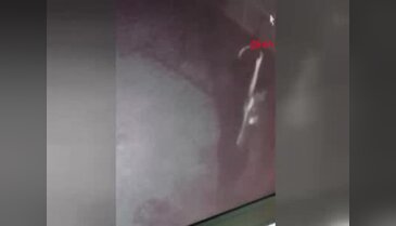 Yavru köpeği işkence yaparak öldürdü