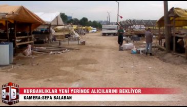 Bursa'da kubanlıklar yeni yerinde alıcılarını bekliyor