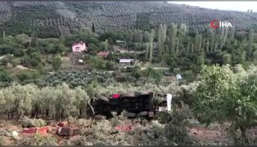 Bursa'da vinç zeytinliğe yuvarlandı