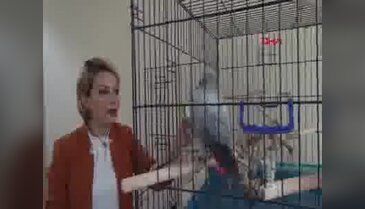 Makam odasında yaralı hayvanlara bakan müdür yardımcısına ceza