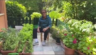 Kendi sebzesini yetiştiriyor