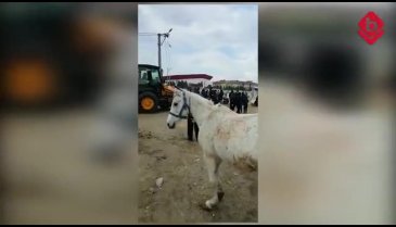 Bursa'da ahırları 3'üncü defa yıkılan Doğan Göçük: Atlar soğuktan ölecek