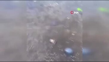 Bursa sahillerinde tedirginlik yaratan görüntü!