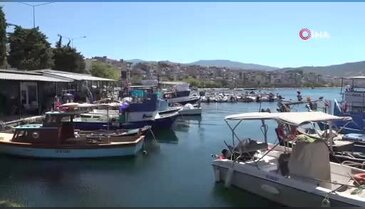 Bursa'da müsilaj kabusu bitti derken diğeri başladı!