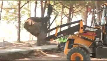 Bursa'ya devasa park ve mesire alanı!
