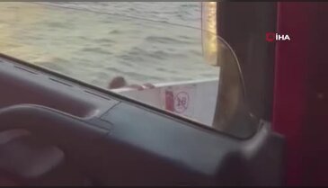 Kadın yolcu feribottan kendini denize böyle attı