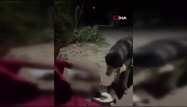 Tepki çeken görüntü! Sosyal medyada da paylaştılar... Köpeğe alkol içirdi