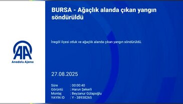 Bursa'da ağaçlık alan alev alev yandı!