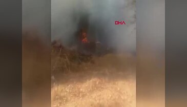 Bursa'da ağaçlık alan alev alev yandı!