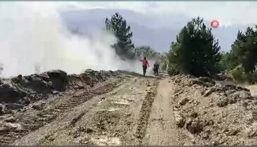 Devasa yangın 20 saat sonra kontrol altına alındı! 'Karga' detayı dikkat çekti...