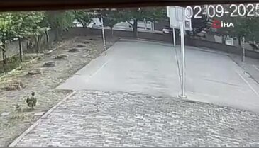 Okul müdüründen hayat kurtaran müdahale