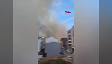 Bursa'da çamlık yangını; yerleşim yerlerine sıçramadan söndürüldü