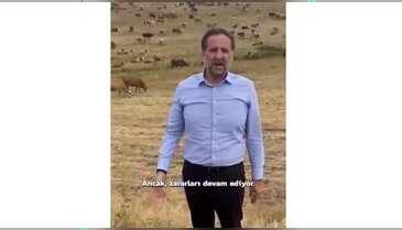 Arkasına hayvan sürüsünü alan vekil, Bakan Yumaklı'ya seslendi