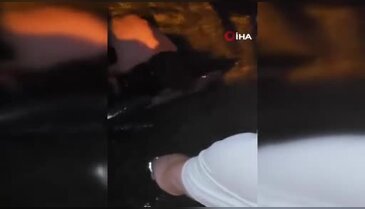 Bursa'da gece saatlerinde kıyıya vurdu! Vatandaşlar tarafından...