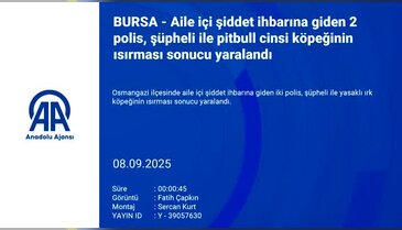 Bursa'da şoke eden olay! Hem kendisi hem de köpeği polisi ısırdı