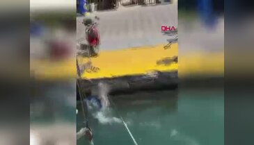 Nesli tükenmekte olan balığı zıpkınla vurdular, cezayı yediler! O anlar kamerada...