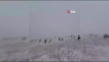 Yılın ilk karı yağdı!