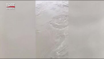 Arkadaşlarıyla iddiaya girdi, 200 lira uğruna nehre atladı! 8 gündür aranıyor